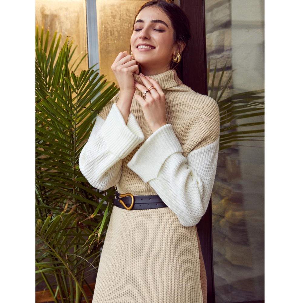 Colorblock Knit Sweater Dress Turtleneck - Picture 11 of 16